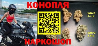 сатива Волгодонск