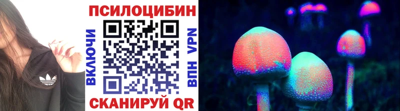 гидра tor Грозный Галлюциногенные грибы мицелий