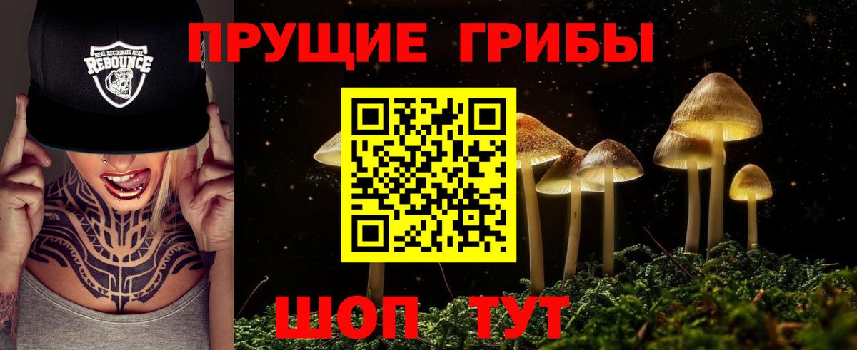 Грозный  Галлюциногенные грибы мухоморы  Вход с VPN 