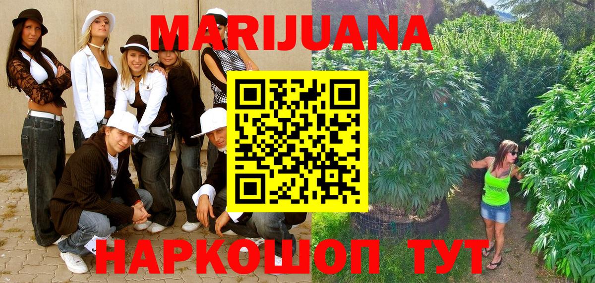 Конопля White Widow Грозный